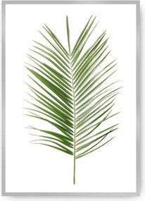 Plakat Palm Leaf Green