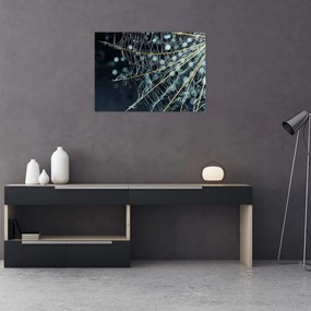 Obraz - Kwiat z pajęczyną (70x50 cm)