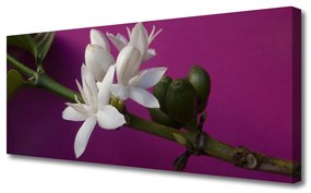 Obraz Canvas Kwiaty Pędy Natura Roślina