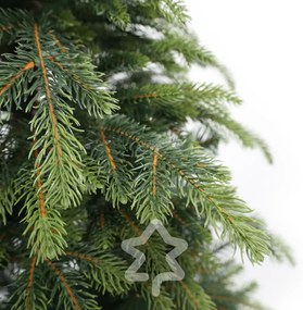 Świerk Natura 210 cm