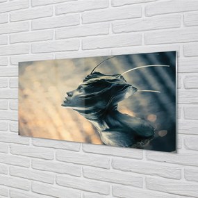 Szklany Panel Zarys Głowy Postaci