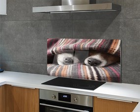 Panel Kuchenny Szklany Słodki Sen Zmęczonych Psów