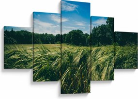 Obraz łąki i lasu (125x70 cm)