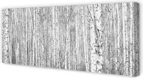 Obraz na płótnie Czarno-Biały Las