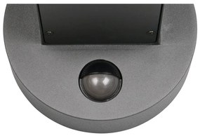 Zewnętrzna lampa ścienna (wysokość 24,5 cm) Fraser – Trio