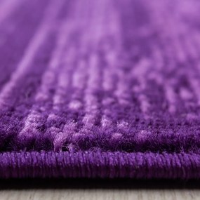 Dywan nowoczesny Plus fioletowy 200 cm x 290 cm