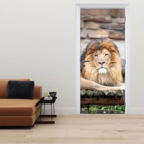 Fototapeta na drzwi - Lew (95x205cm)