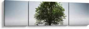 Obraz - Samotne drzewo (170x50 cm)