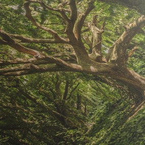 Obraz drzewa (z zegarem) (90x30 cm)