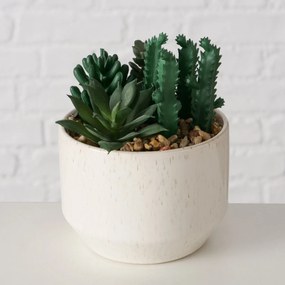 Sztuczna roślinka SUCCULENT, 12 cm