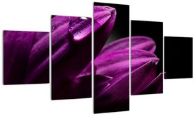 Obraz  - Kropla wody (125x70 cm)