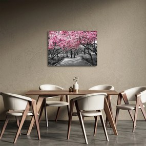 Obraz drzew magnolii (70x50 cm)