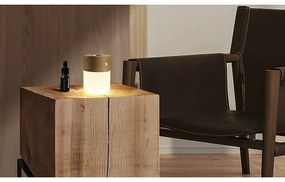 Elektryczny dyfuzor Smart – Gingko