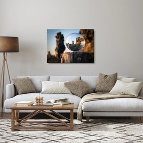 Obraz na szkle - lupa i krajobraz (70x50 cm)