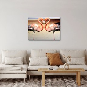 Obraz - dwa flamingi (70x50 cm)