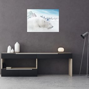 Obraz na szkle - Niedźwiedź polarny (70x50 cm)