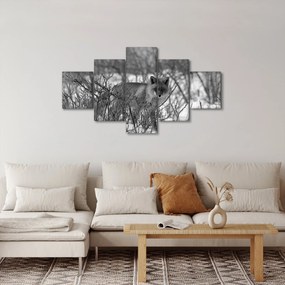 Obraz - Lis w zimie (125x70 cm)