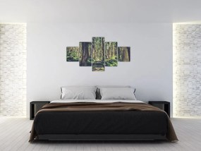 Obraz ścieżki pomiędzy drzewami (125x70 cm)