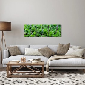 Obraz sukulentów (z zegarem) (90x30 cm)