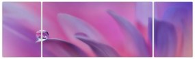 Obraz - Kropla na kwiecie (170x50 cm)