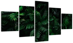 Obraz - Paprocie tropikalne (125x70 cm)