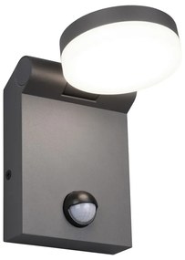 Lampa zewnętrzna z czujnikiem ruchu (wysokość 19 cm) Adour – Trio
