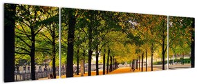 Obraz alei jesiennych drzew (170x50 cm)