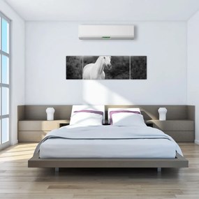Obraz białego konia na łące, czarno - biały (170x50 cm)