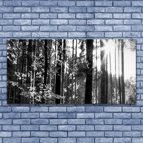 Duży obraz na płótnie Zielone Serce Lasu