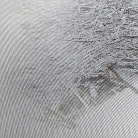 Obraz - Zimowa aleja (z zegarem) (90x30 cm)