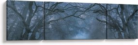 Obraz lasu we mgle (170x50 cm)