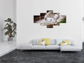 Obraz - Śpiący anioł (125x70 cm)