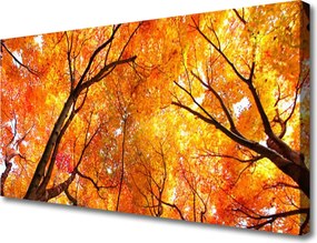 Obraz na płótnie Gęsty Las Liściasty