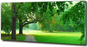 Foto obraz szkło hartowane Park jesienią