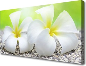 Obraz na płótnie Romantyczna Flora Ogrodowa