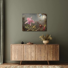 Obraz - Martin Johnson Heade, Cattleya Orchid and Three Hummingbirds, reprodukcje (70x50 cm)