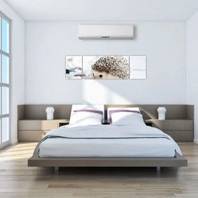 Obraz jeża (170x50 cm)