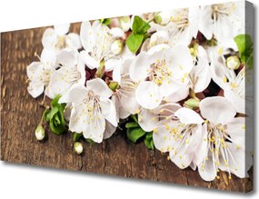 Obraz canvas Rozkwitający Ogród Botaniczny