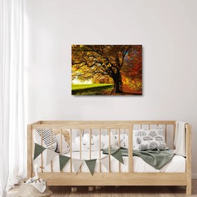 Obraz na szkle - jesień (70x50 cm)