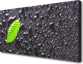 Fotoobraz na płótnie Rosa na Młodym Liściu