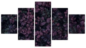 Obraz ciemnoczerwonych liści (125x70 cm)