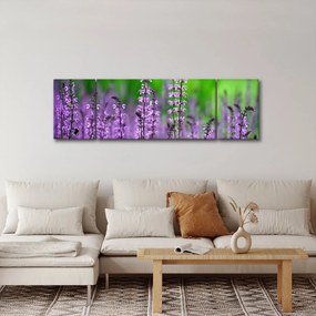 Obraz fioletowych kwiatów polnych (170x50 cm)