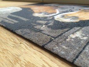 Wycieraczka Deco Star Koniki 40 cm x 60 cm