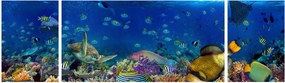 Obraz - Ocean (170x50 cm)