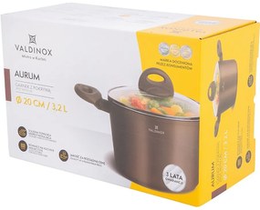 Valdinox Aurum Garnek z powłoką nieprzywierającą i pokrywką, 20 cm, 3,2 l