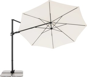 Derby DX 335 cm beżowa