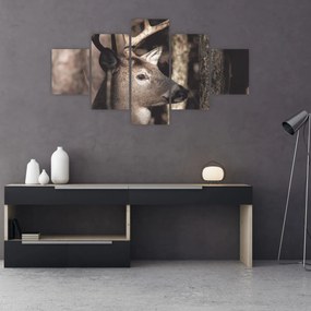 Obraz - Jeleń w lesie (125x70 cm)