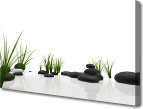 Zdjęcie na płótnie Kamienie w Soczystej Trawie