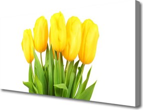 Duży obraz na płótnie Tulipany w Porannym Słońcu