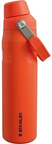 Butelka na wodę Stanley Aerolight IceFlow FastFlow 600 ml Tigerlily